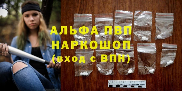 дмт Богданович