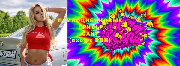 MDMA Богородицк