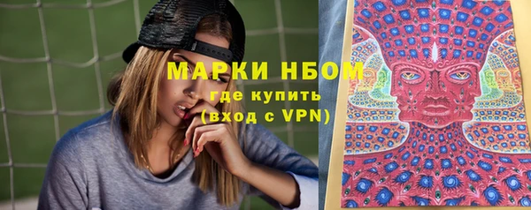 дмт Богданович
