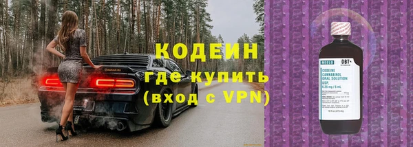 дмт Богданович