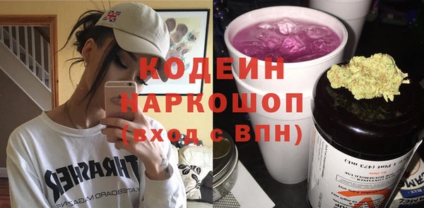 дурь Бородино