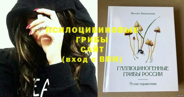 дмт Богданович