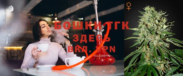 спиды Богородск