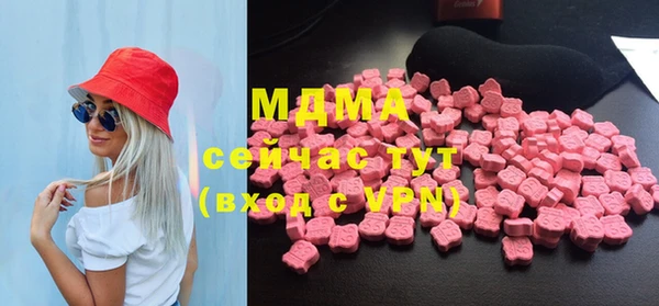 дмт Богданович