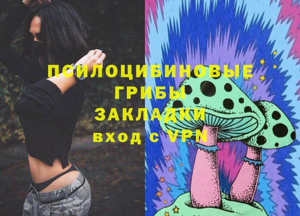 спиды Богородск