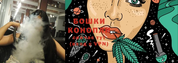 спиды Богородск