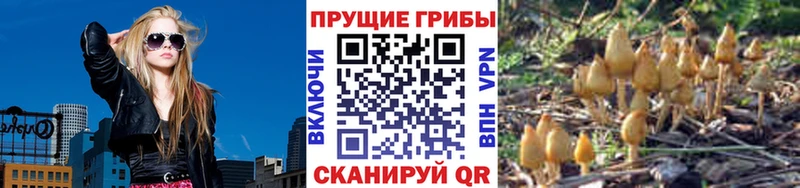 Галлюциногенные грибы мухоморы  Кириллов 